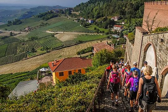 Tryffeltid i Piemonte och havsvandring i Ligurien